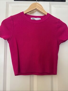 Zara Fuchsia Short Sleeve Knit Top